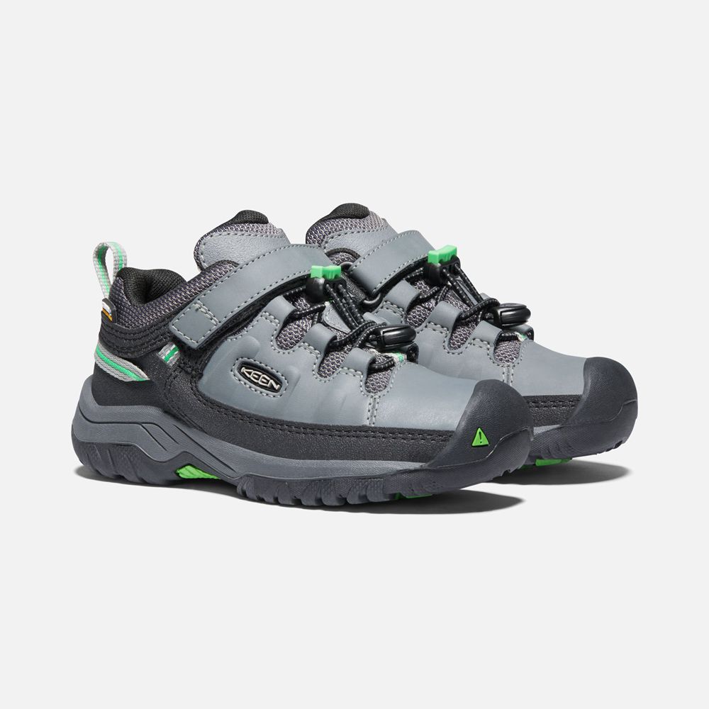 Zapatos de Seguridad Keen Mexico Grises/Verdes - Niños Targhee Waterproof - VU6974513